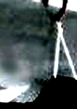 e0103408_15535889.gif