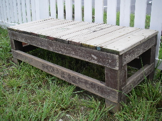 f0113108_7605.jpg