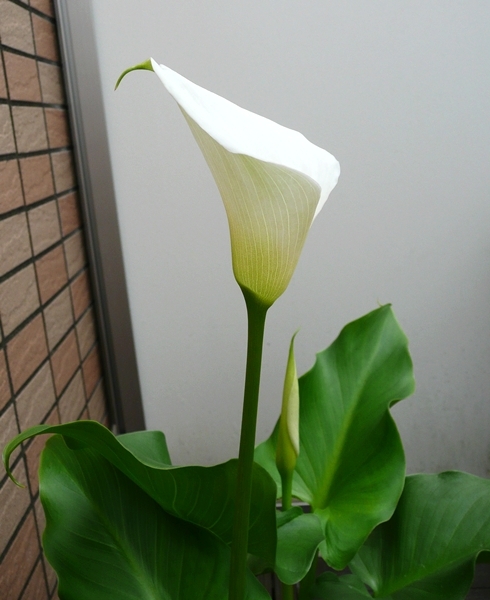 a0043512_18493142.jpg