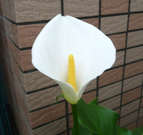a0043512_1905654.jpg