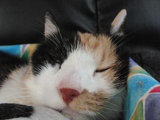c0201113_21515421.jpg