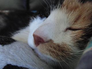 c0201113_21525714.jpg