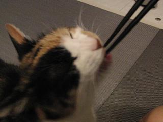 c0201113_2221712.jpg