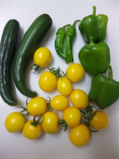 c0201113_22371235.jpg