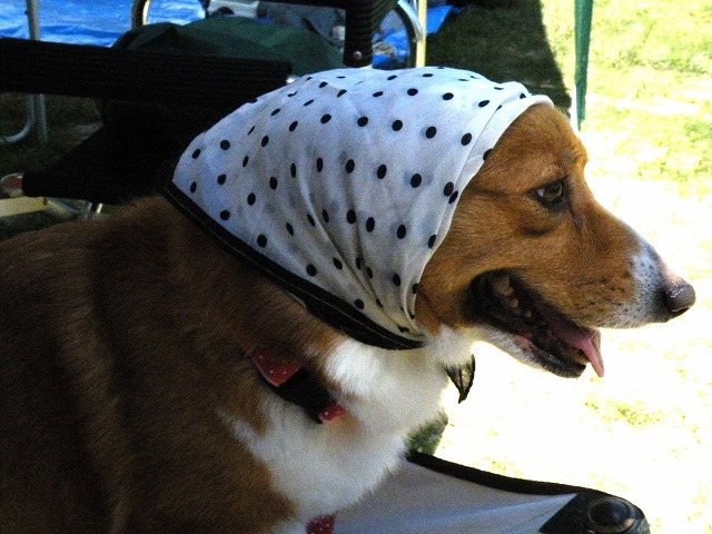 c0127617_18145154.jpg