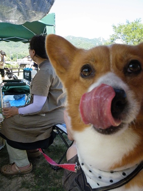 c0127617_1821550.jpg