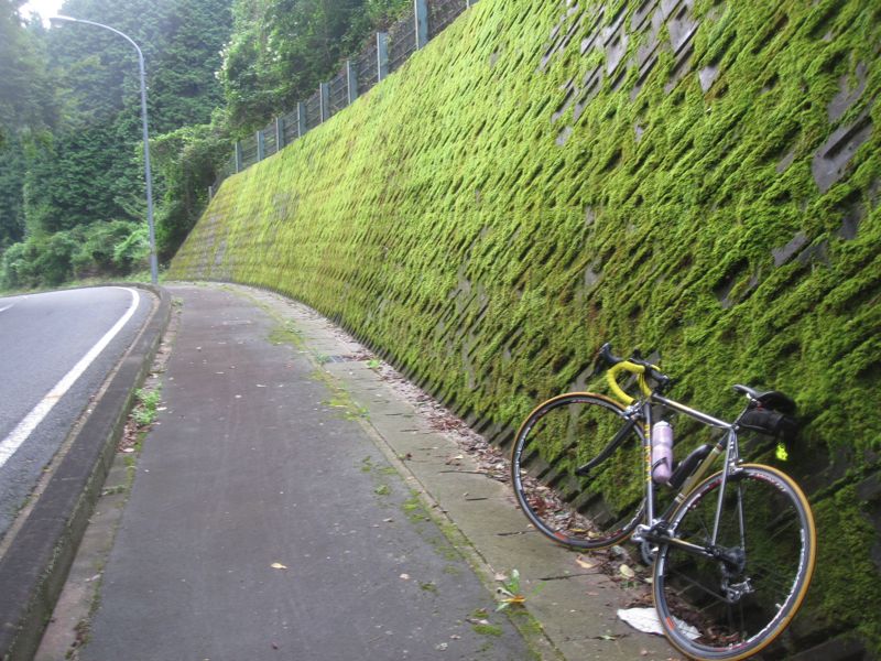 c0225420_1041455.jpg