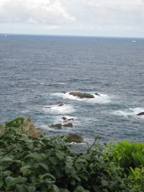 d0147727_11432518.jpg