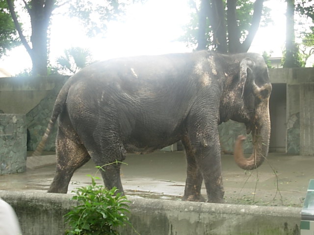 b0185330_2232258.jpg