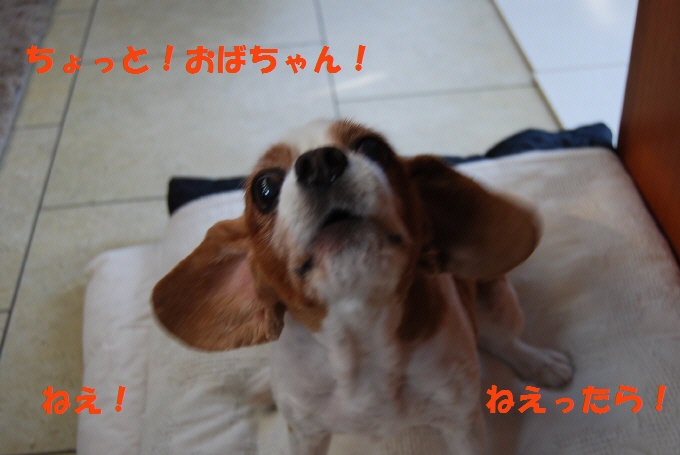 c0136838_1514245.jpg