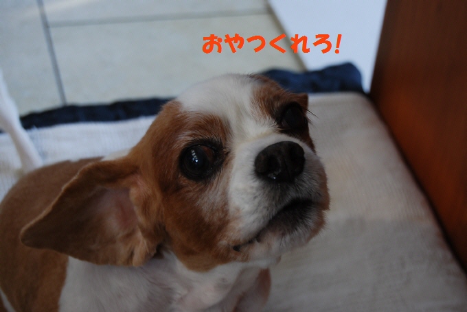 c0136838_1518320.jpg