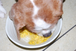 c0136838_1533645.jpg