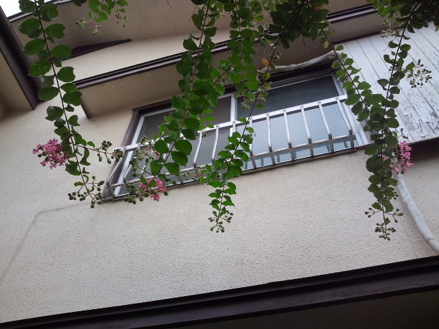 e0034047_9511217.jpg