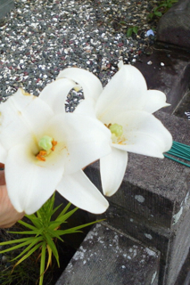 f0179947_0324641.jpg