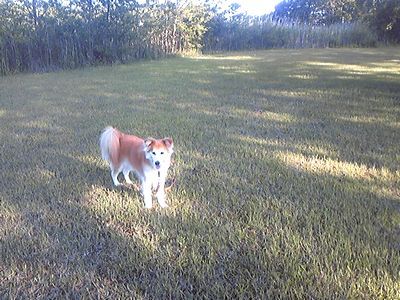 e0019550_8312727.jpg