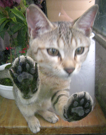 a0001354_19355936.jpg