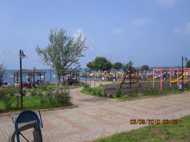 d0182063_725840.jpg