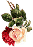 e0166066_9384689.gif