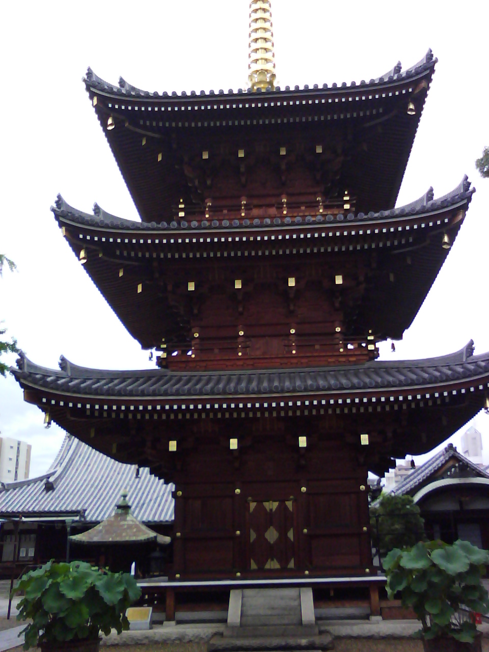 f0150767_13265958.jpg