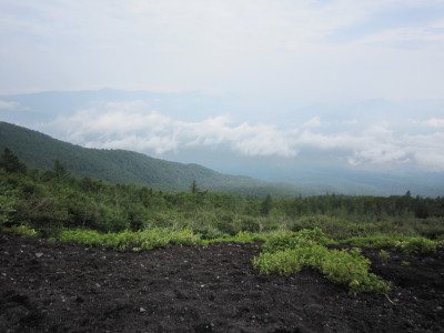 c0202870_23144086.jpg
