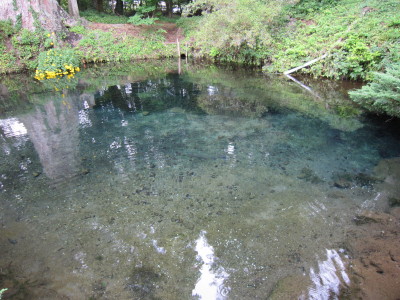 c0202870_23351752.jpg