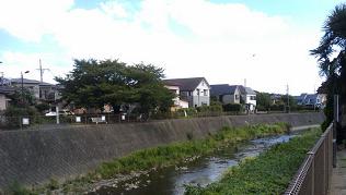 b0120675_20532513.jpg