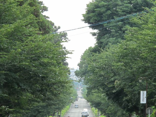 e0132881_13323964.jpg
