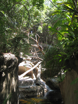 f0068883_1431551.jpg