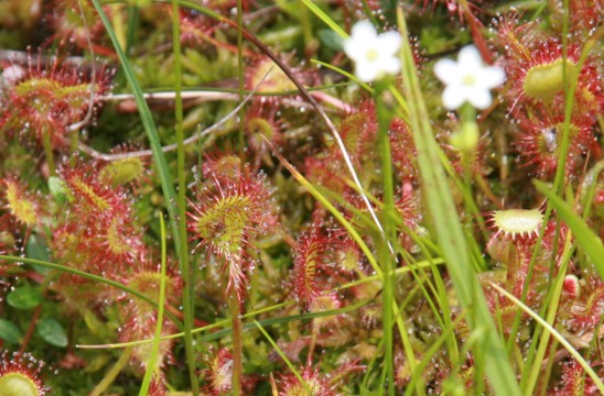 c0144185_12114963.jpg