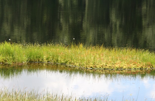 c0144185_1252512.jpg