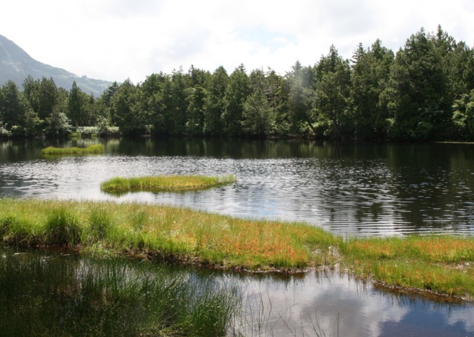 c0144185_1271143.jpg
