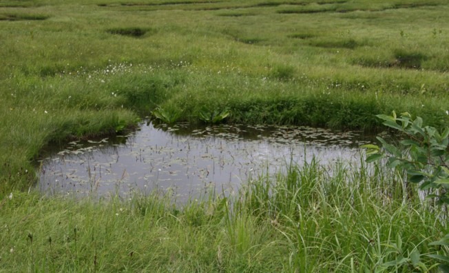 c0144185_17132776.jpg