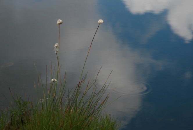 c0144185_17152629.jpg