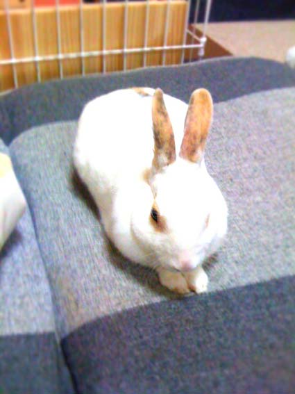 f0201191_224718.jpg