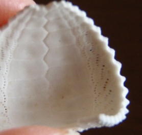 b0189200_17145429.jpg