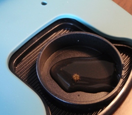 b0189200_1745460.jpg