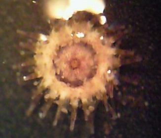 b0189200_1772371.jpg