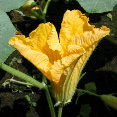 f0239100_1664119.jpg