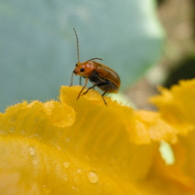 f0239100_1681447.jpg
