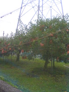 a0166601_1946726.jpg