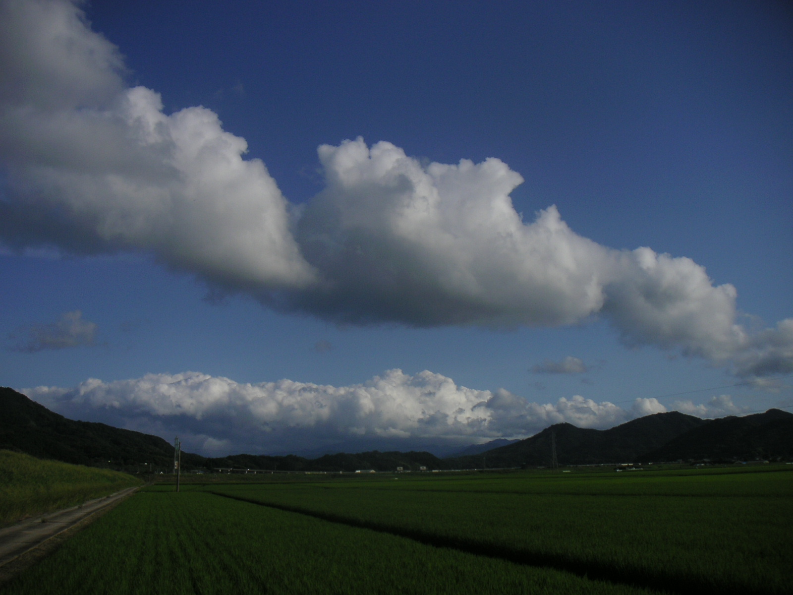 f0146802_21573984.jpg