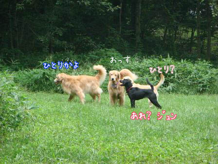f0064906_1661962.jpg