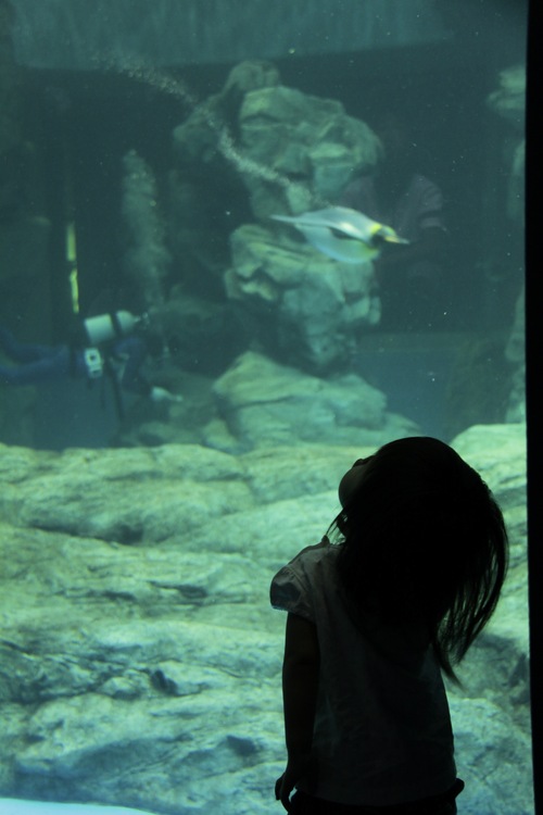 f0201607_1717754.jpg
