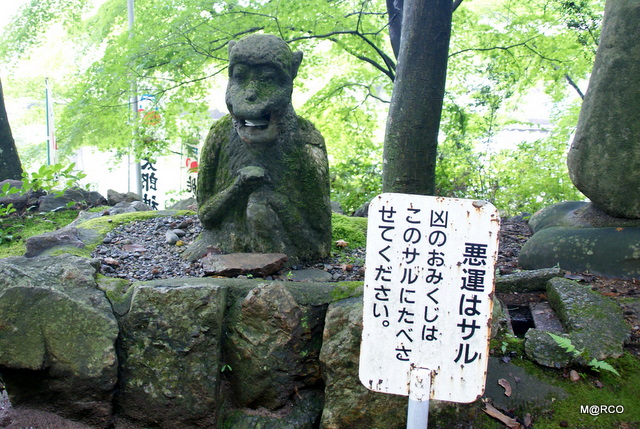 c0037611_21333665.jpg
