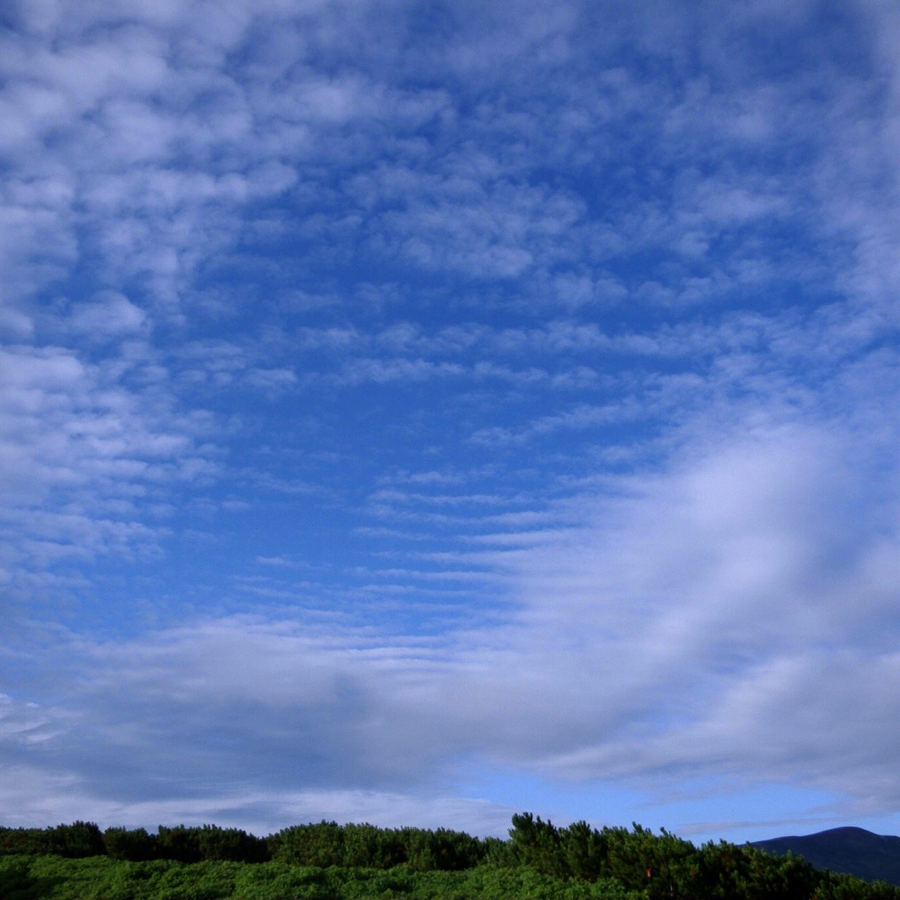 e0142611_1647278.jpg