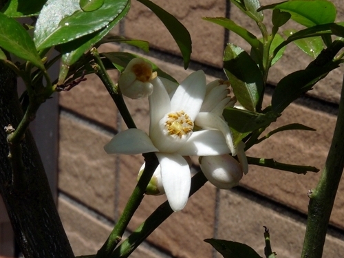 a0043512_2353434.jpg