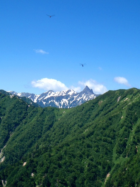 c0177814_15411477.jpg