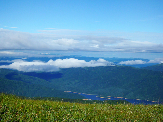 d0170615_1344496.jpg
