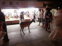 c0035116_18572423.jpg