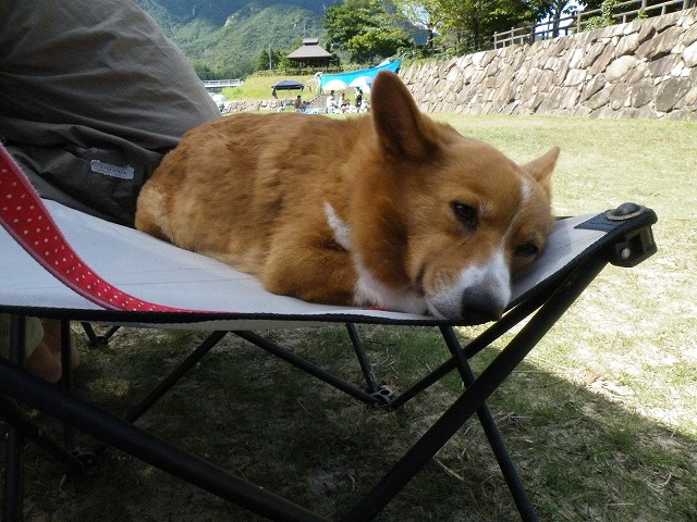 c0127617_1911342.jpg